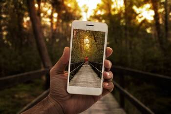 Person macht Handyphoto von einer Brücke im Wald