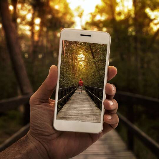 Person macht Handyphoto von einer Brücke im Wald