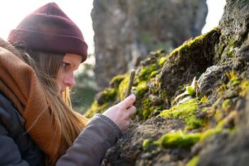 Frau mit Mütze fotografiert mit Smartphone pflanzenbewachsene Steine
