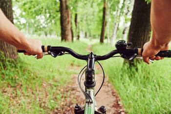 Ein Fahrradlenrad wird von einer Person im Wald benutzt.