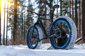 Fatbike im verschneiten Wald bei Sonnenschein