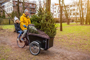 Mann fährt mit Tochter und Weihnachtsbaum auf Lastenrad