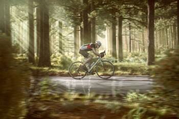 Rennradfahrer fährt durch einen Wald