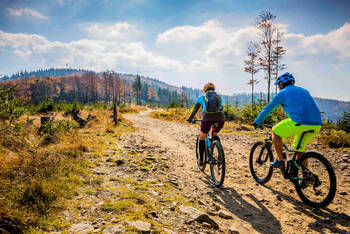 zwei Mountainbiker fahren durch offene Waldfläche.