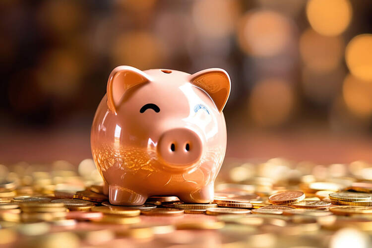 Sparschwein steht auf viel Geld