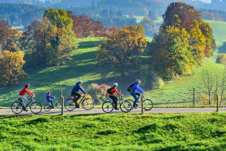 Mehrere Personen fahren Fahrrad im Wald