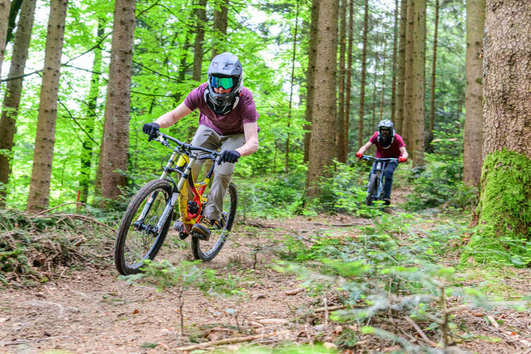 Zwei Personen fahren mit Mountainbike durch den Wald.