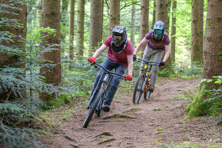 Zwei Personen fahren Mountainbike durch Wald.