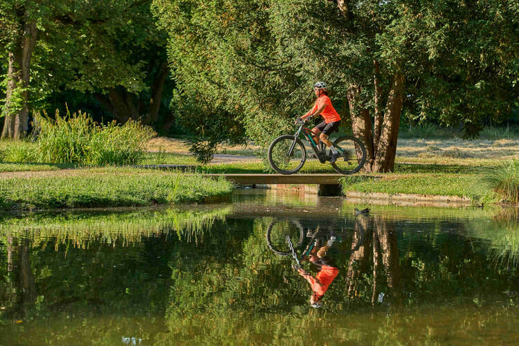 Frau fährt im Wald Fahrrad