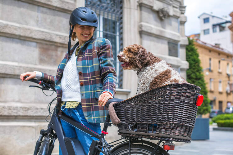 Eine Frau transportiert ihren Hund auf dem Fahrrad