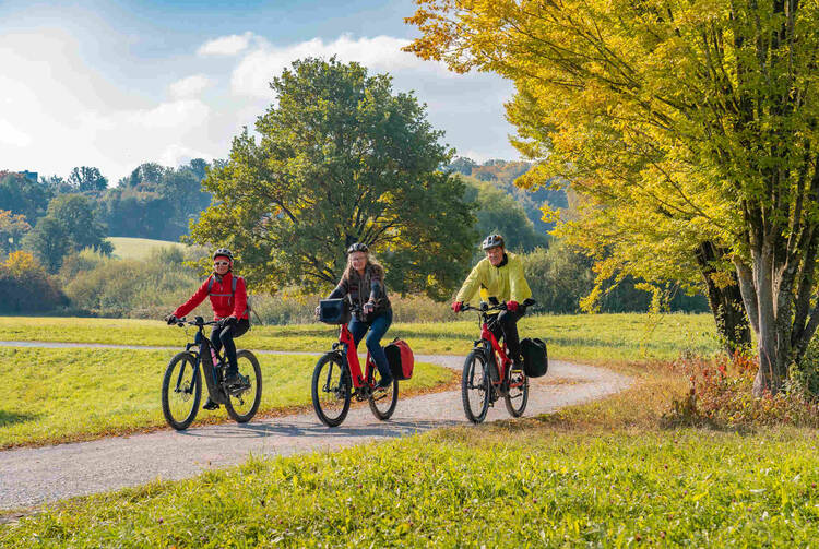Drei ältere Personen fahren mit Ihren Fahrrdäern über einen Radweg durch eine Wiese.