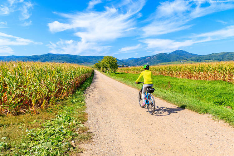 Mit dem Fahrrad in den Urlaub - Routenplanung und Co.