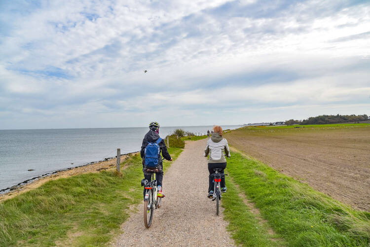 Zwei Personen fahren auf einem Nordsee-Radweg Fahrrad
