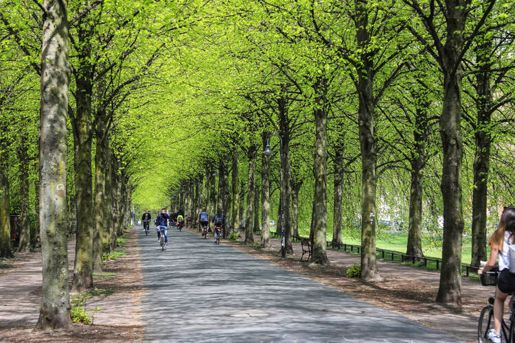 Fahrradfahren fahren auf einer Promenade in Münster 