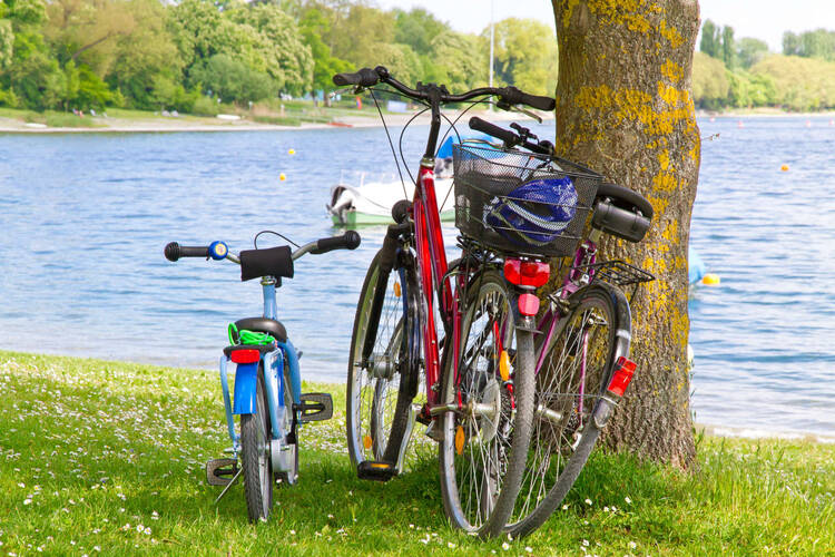 Fahrräder stehen in der Nähe eines Sees