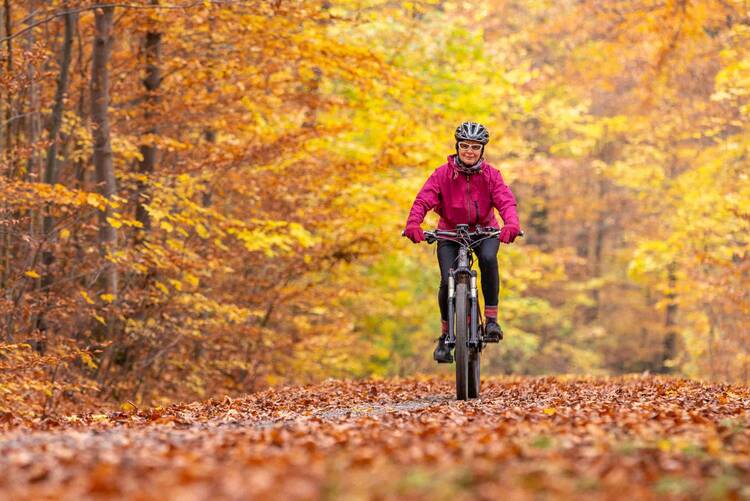Ein Fahrradfahrer in einem Herbstwald