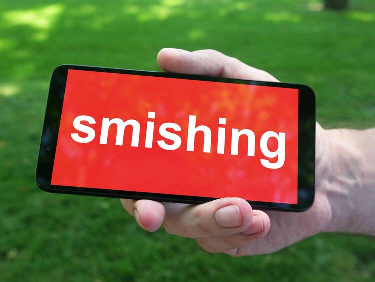 Smartphone wird vor Rasen-Hintergrund gehalten, auf dem Bildschirm steht in weißer Schrift mit rotem Hintergrund "Smishing"