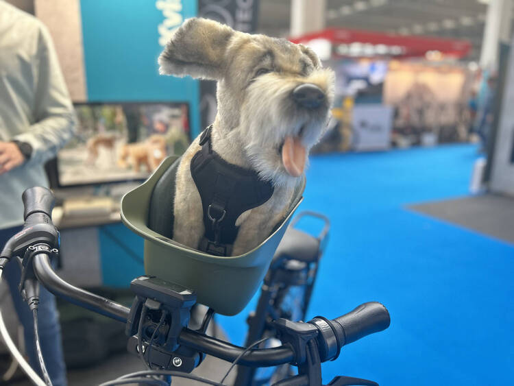 Hundetransportmöglichkeit mit dem Fahrrad