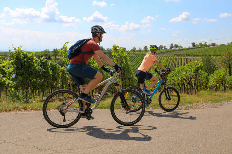 Übungen für Radfahrer - diese müssen Sie kennen