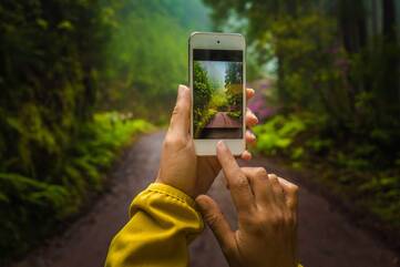 Person macht ein Bild mit dem Smartphone von einem Waldweg