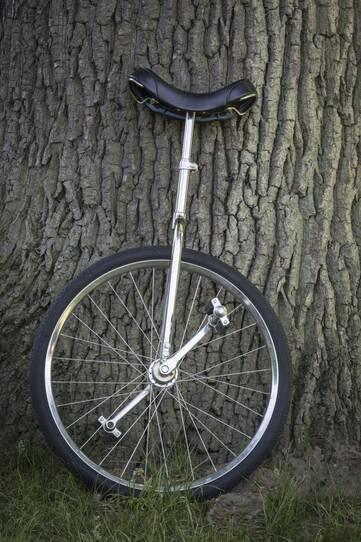 Ein Einrad steht angelehnt am Baum.