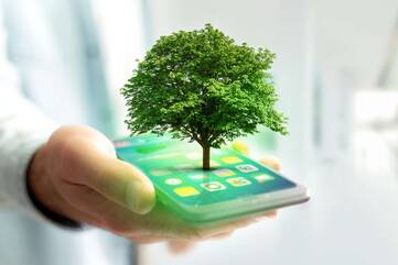 Smartphone, aus dem ein Baum wächst