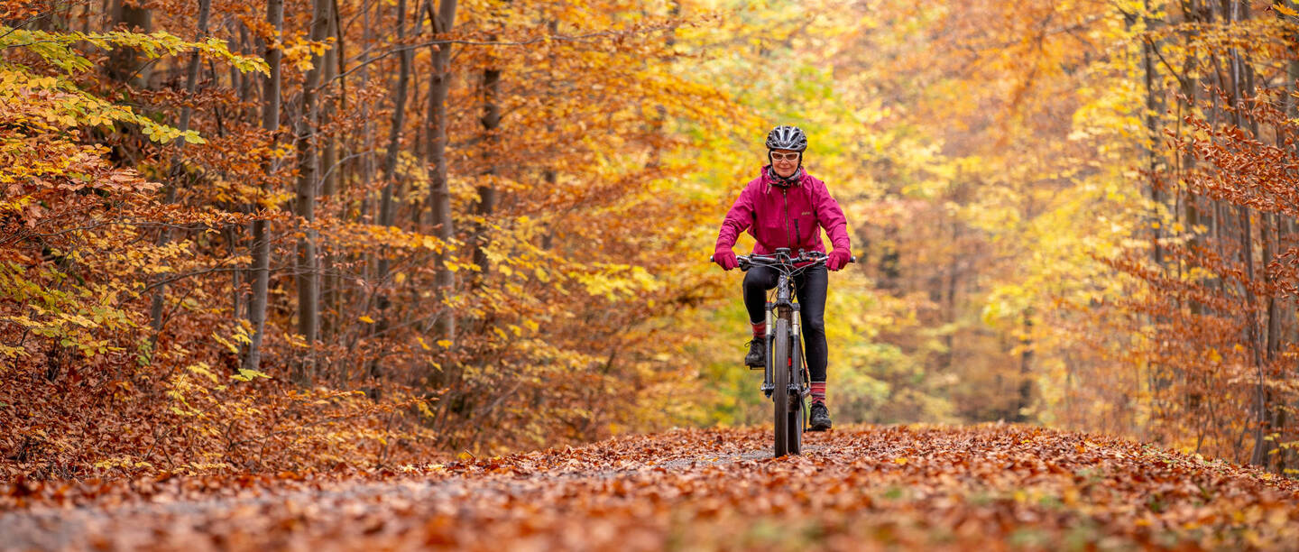 Person fährt im Herbst Fahrrad