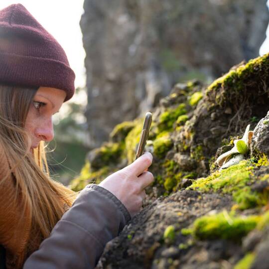 Frau mit Mütze fotografiert mit Smartphone pflanzenbewachsene Steine
