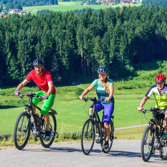 Pegs Bergsteiger gleich bike service kosten Akzent Ampere Blitz