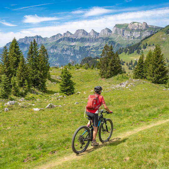 Eine Person fährt mit ihrem Fahrrad einen schmalen Radweg durch die schweizer Landschaft. Grüne Wiesen sind zu sehen und Bäume. Im Hintergrund sind Berge und Täler.