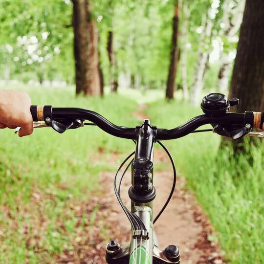 Ein Fahrradlenrad wird von einer Person im Wald benutzt.