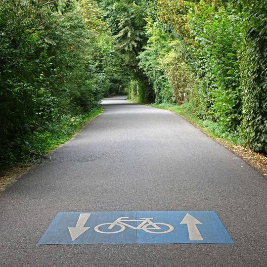Ein Fahrradweg im Wald.