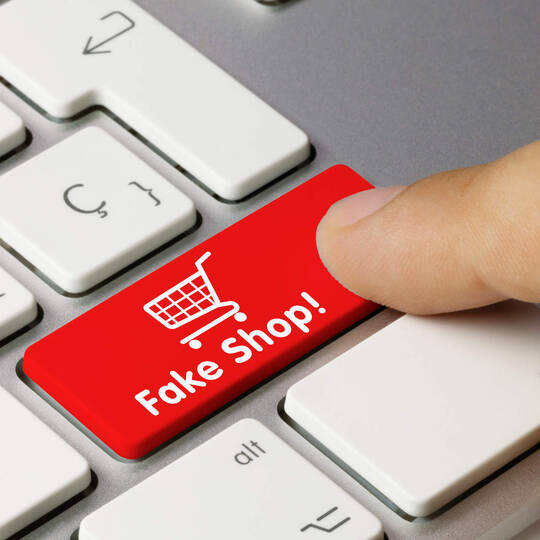 Fake-Shop Taste 