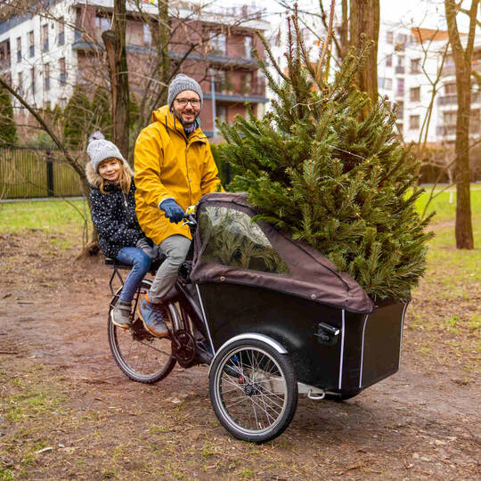 Mann fährt mit Tochter und Weihnachtsbaum auf Lastenrad