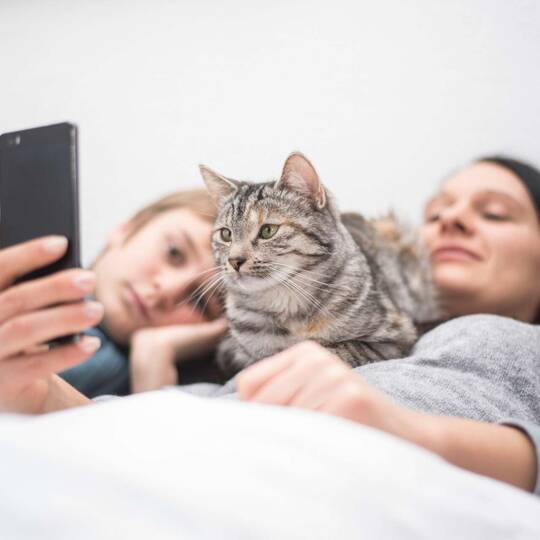 Zwei Personen und eine Katze gucken auf ein Smartphone