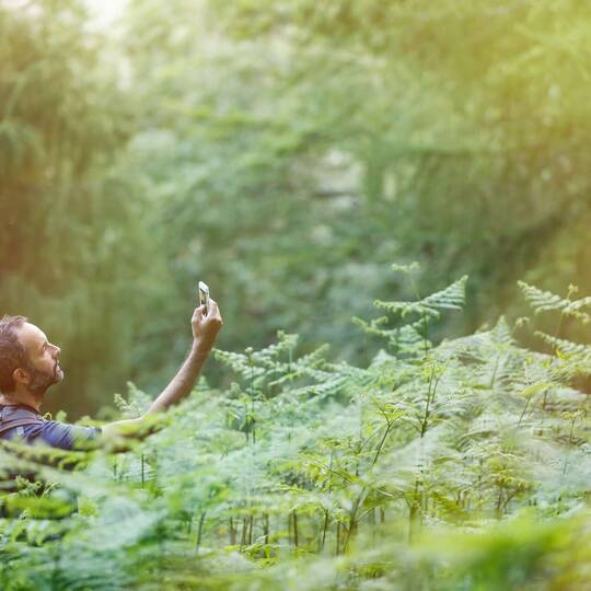 Person steht im Wald und hält Smartphone in die Luft