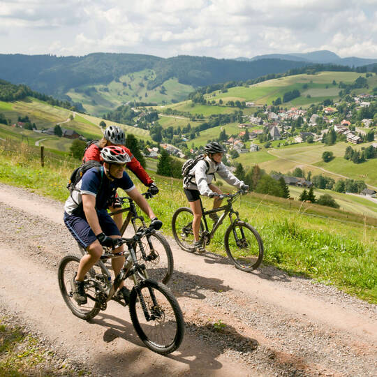 Eine Gruppe von Fahrradfahrern fährt durch die Schwarzwälder Landschaft