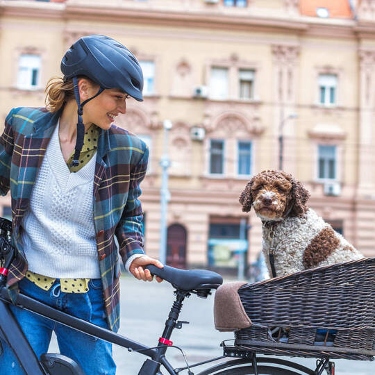 Frau transportiert ihren Hund mit dem Fahrrad