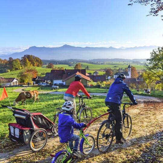 Fahrradnachlaufer Vorteile Des Trailerbikes