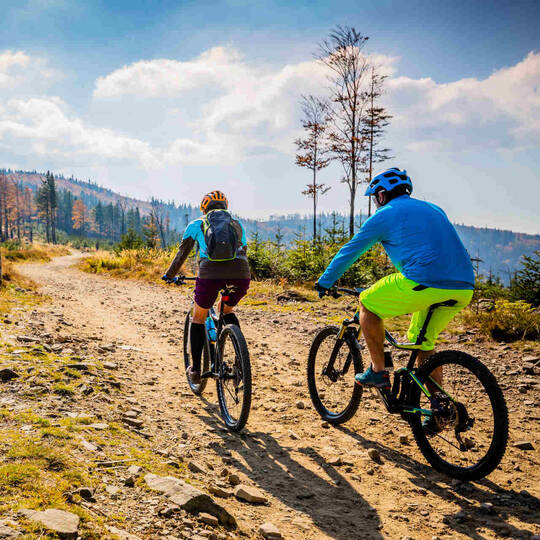 zwei Mountainbiker fahren durch offene Waldfläche.