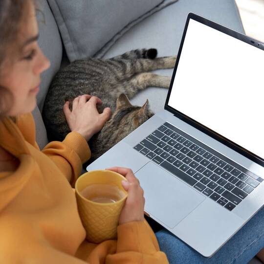 Frau auf Couch mit Katze schaut auf Laptop